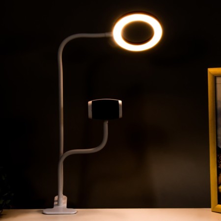 Board Octopus LED USB Rose 11x63 cm Risalux-4
