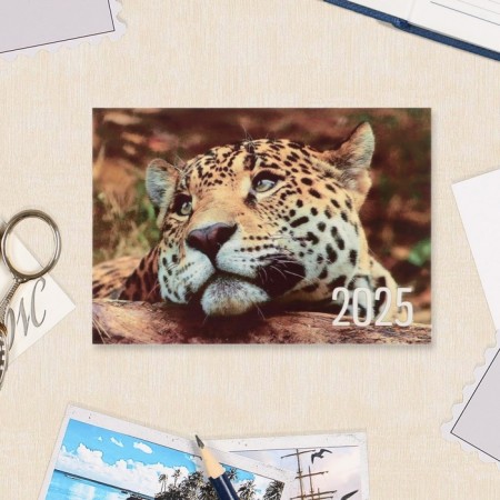 Pocket calendar "Animals" 2025, 7 x 10 cm-4