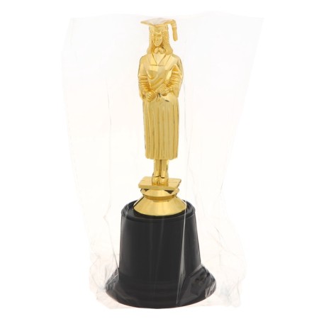 Figure for application for graduation "graduate", plastic, height 17.5 cm-6