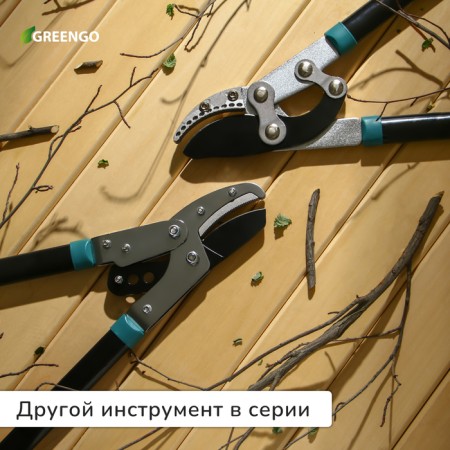 Badkorez, professional, 31 "(79 cm), mix, Greengo-6