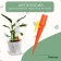 Auto -polyoves for indoor plants Greengo for a bottle, adjustable, with a tap, of plastic, height 15 cm, mix