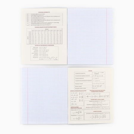 Subject notebook A5, 48 liters on the clip “Neon. Algebra »Soft touch lamp, 3D varnish-2