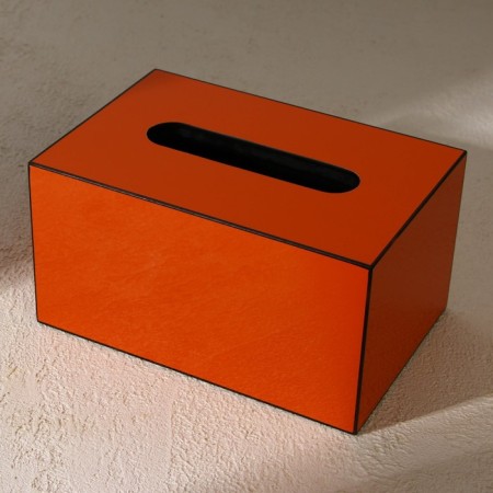 Acrylic napkin, orange color 10 x 18 x 12 cm-13