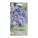 Gloxinia flowers "Imperial Blue Ink", 5 pcs.