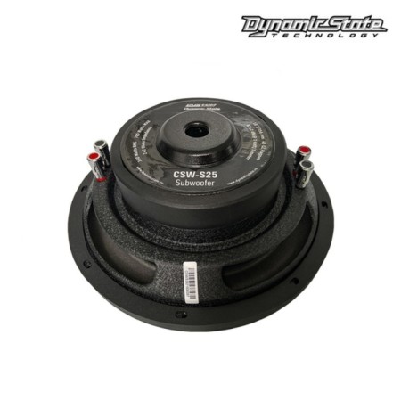Dynamic State CSW-S25 Custom D2 subwoofer, without a box, passive, 10 "/ 256 mm, max 700 WT-2