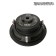 Dynamic State CSW-S25 Custom D2 subwoofer, without a box, passive, 10 "/ 256 mm, max 700 WT