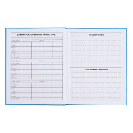 Diary for grades 5-11, 48 sheets of Kapibar Kapibarov, hard cover, glossy lamination, block 60 g/m2-7