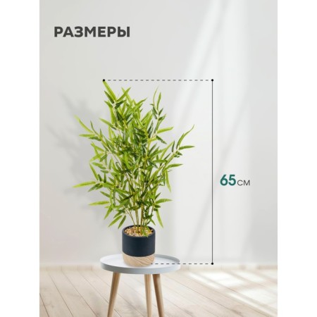 Bamboo in a cement pot, 125 × 125 × 650 mm, green / black / beige color-1