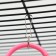 Toy for birds "Multi -colored rings" 5 pcs