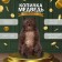Piggy bank "Bear Nikita" 25x17x22 cm