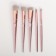 Set "since March 8": makeup brushes 5 pcs, a brush for washing, a towel