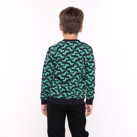 Sweatshirt for a boy, blue color, height 110 cm-3