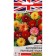 Georgin's flowers "English early -fluent", a mixture of varieties,