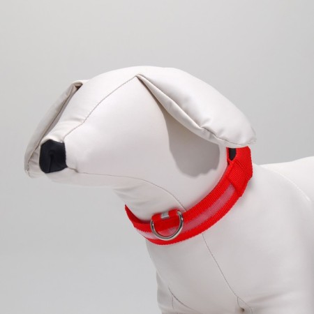 Collar with backlight size S, Osh 35-43 x 2.5 cm, 3 glow modes red-2