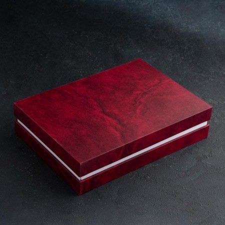 Set of dining room "Uralochka", 12 objects, thickness 2 mm, decorated box, silver color-4