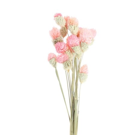 Sukhotzet "Gomprane Sherrovid" set - from 17 to 20 pcs., Pink color-3