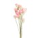 Sukhotzet "Gomprane Sherrovid" set - from 17 to 20 pcs., Pink color