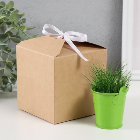 Set for growing plants "grow grass" bucket-3
