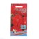 Seeds of flowers Astra needle dense "Assol", 0, 3 g