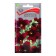 Flower seeds Salpiglossis purple gramophone, 0.01gr