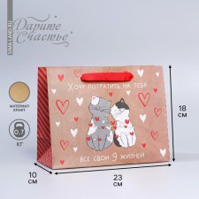 Package Gift Craft Horizontal, Packaging, “Slender Nine Life”, MS 18 x 23 x 8 cm