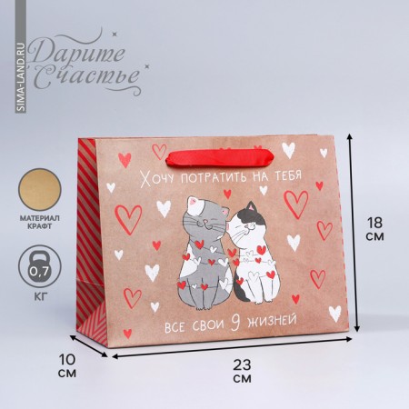 Package Gift Craft Horizontal, Packaging, “Slender Nine Life”, MS 18 x 23 x 8 cm
