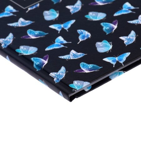 Diary for grades 1-4, "butterflies. Pattern", solid cover 7BC, matte lamination, selective varnish, 48 sheets-2