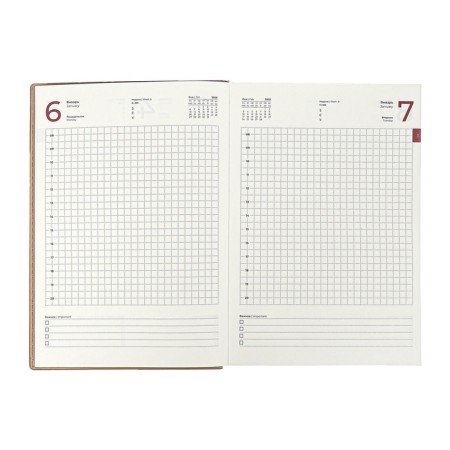 Dated 2025 diary, Escalada, A5+ 176 sheets, integral cover, artificial leather, foil embroidery, lies, block 80 g/m2, beige-11