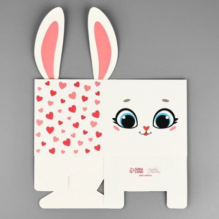 Boxes for mini bouquets "Bunny", 12 × 20 × 10 cm-5