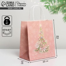 Package Gift Craft 