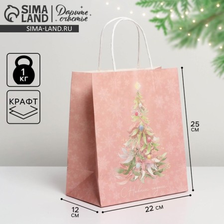 Package Gift Craft "New Year Dreams", 22 x 25 x 12 cm, New Year