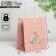Package Gift Craft "New Year Dreams", 22 x 25 x 12 cm, New Year