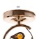 Lamp 6591210/1 E27 40W gold 17x15x32 cm Bayerlux
