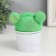 Growing gift grass grass "Frog"