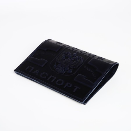 Cover for passport, blue color-2