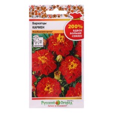 Flower seeds of marigold 