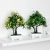Bonsai in the pot "bright tree" 10x20 cm, mix