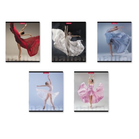Notebook 48l Erichkrause "Ballet", matte lamination, mix
