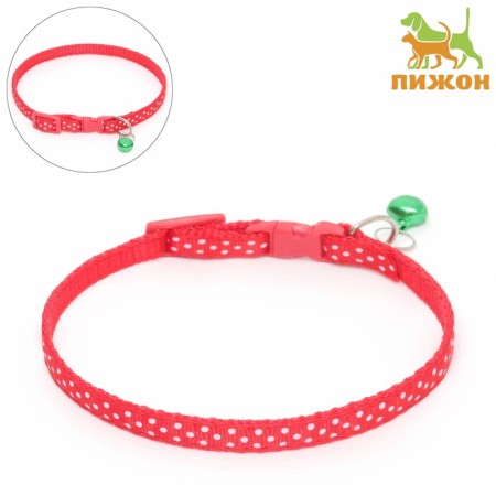 Two -layer collar with phasex "Golsu", 30 x 1 cm, red