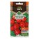 Seeds of Radis "Heat" is old, 3 g