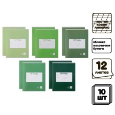 A set of notebooks of 10 pieces, 12 sheets in a frequent scythe line calligrata 