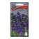 Flower seeds Statitsa "Suprim Blue", 0.15 g