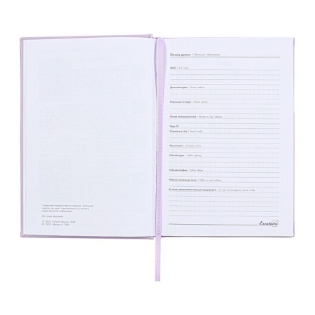 Dated 2025 diary, A5, 176 sheets of Escalada, a solid cover of artificial leather with foam rubber, pancake embossing, liesse, block 70 g/m2, lilac-6