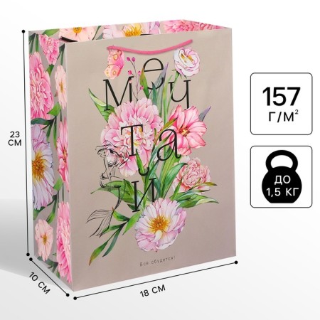 Gift package "Dream" 18x23x10 cm, packaging, princesses