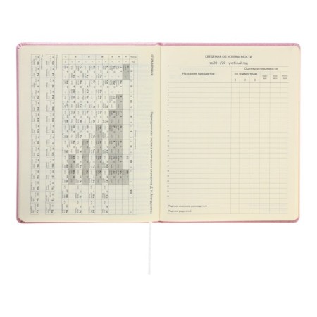 Universal diary for grade 1-11 Cherry Blossom, hard cover, artificial leather, foamy, foil, liesse, 80 g/m2-11