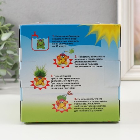 Growing gift Eco -Zhizhivchik "Gitarist" in gift packaging-7