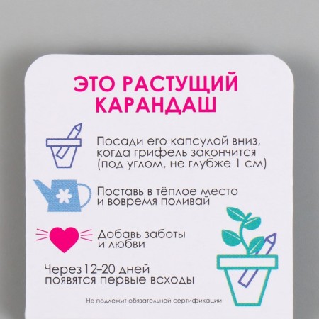 Growing gift pencils Mini make a desire "Glubny spruce"-2