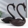Souvenir Chugun "Two Swan" set 2 pcs 20x8x15 cm