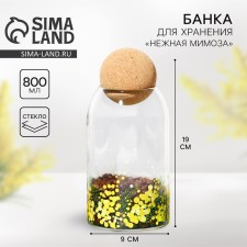 Банка для хранения «Нежная мимоза», 800 мл