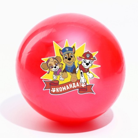 Children's ball, PAW PATROL command, diameter 16 cm, 50 g, MIX color-3